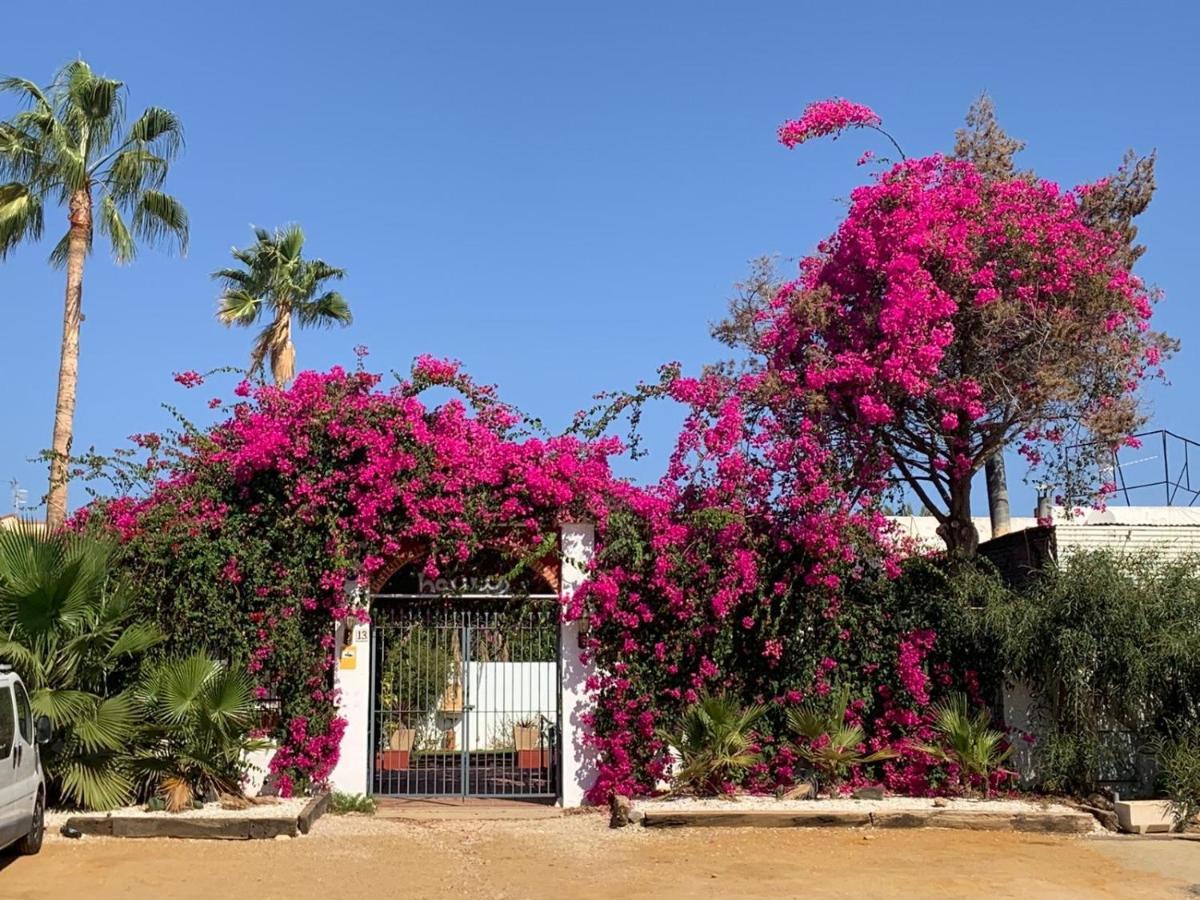 San Juan de los Terreros Casa Tranquilaヴィラ エクステリア 写真