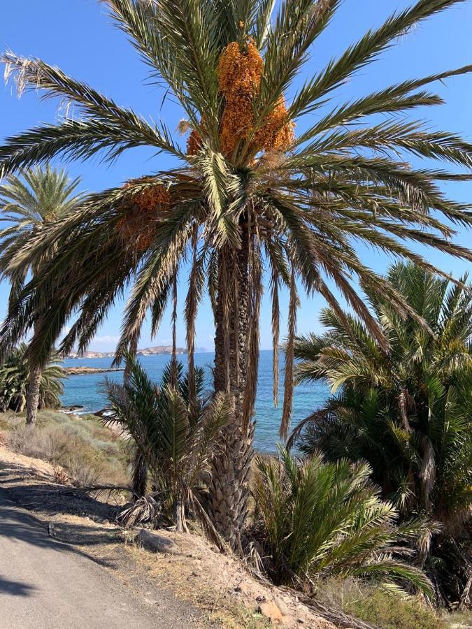 San Juan de los Terreros Casa Tranquilaヴィラ エクステリア 写真